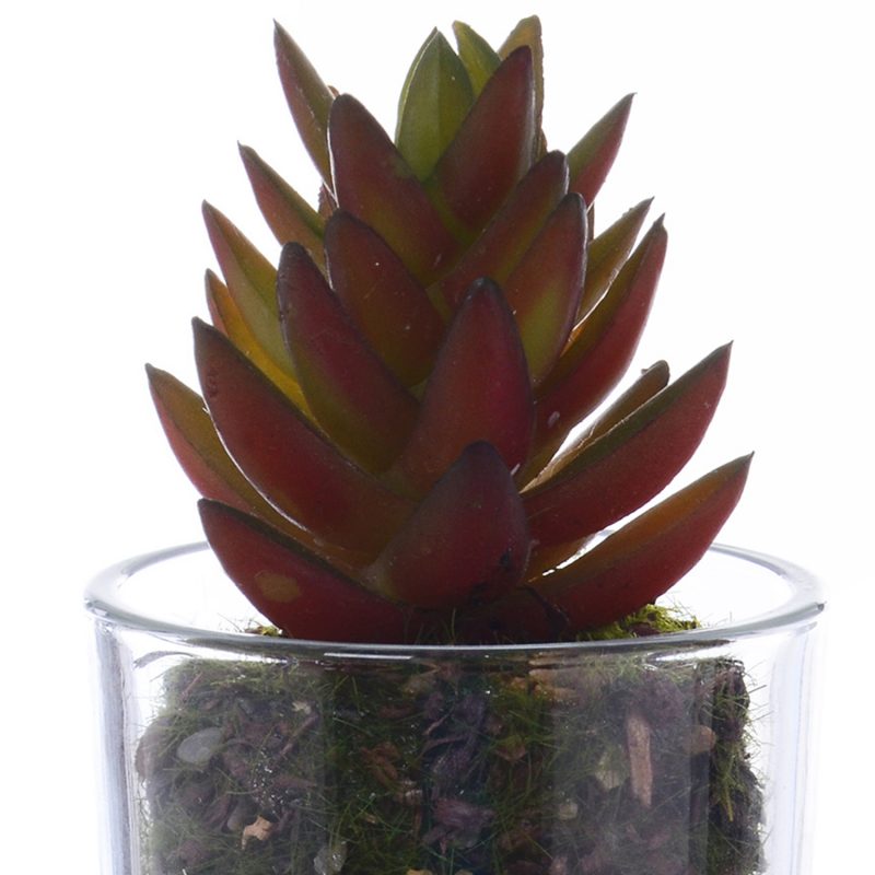 Planta Artificial Suculenta Roja - Imagen 2