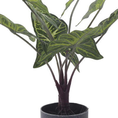 Planta Decorativa Artificial Alocasia Zebrina