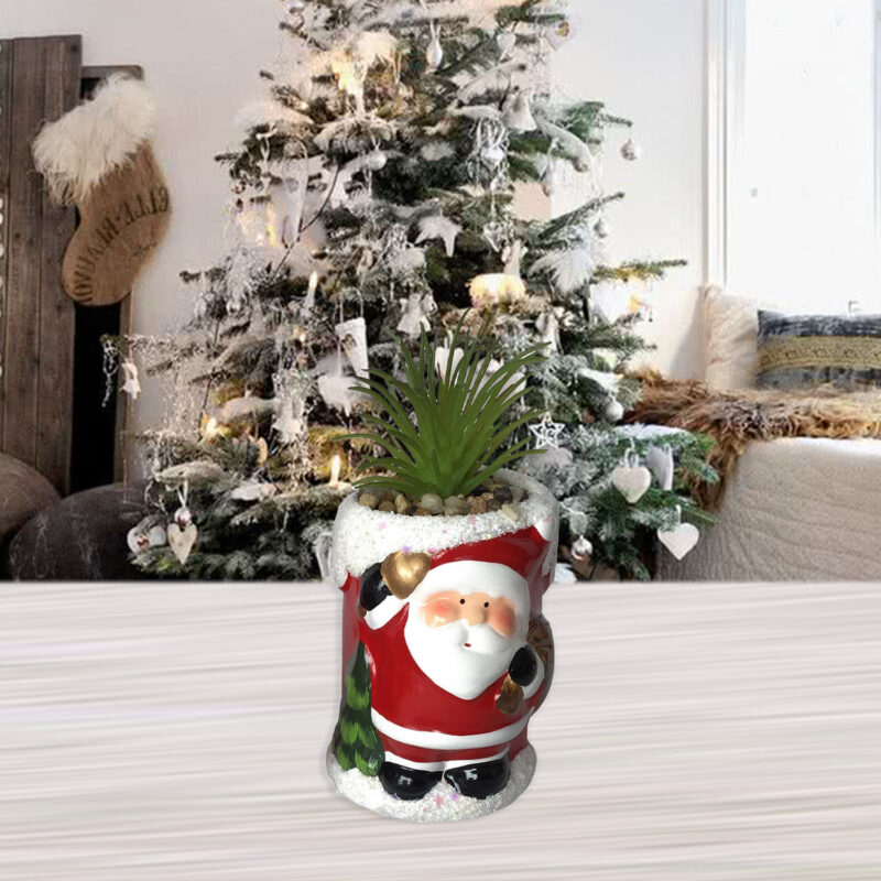Suculenta Verde Figura Pascuero - Imagen 4