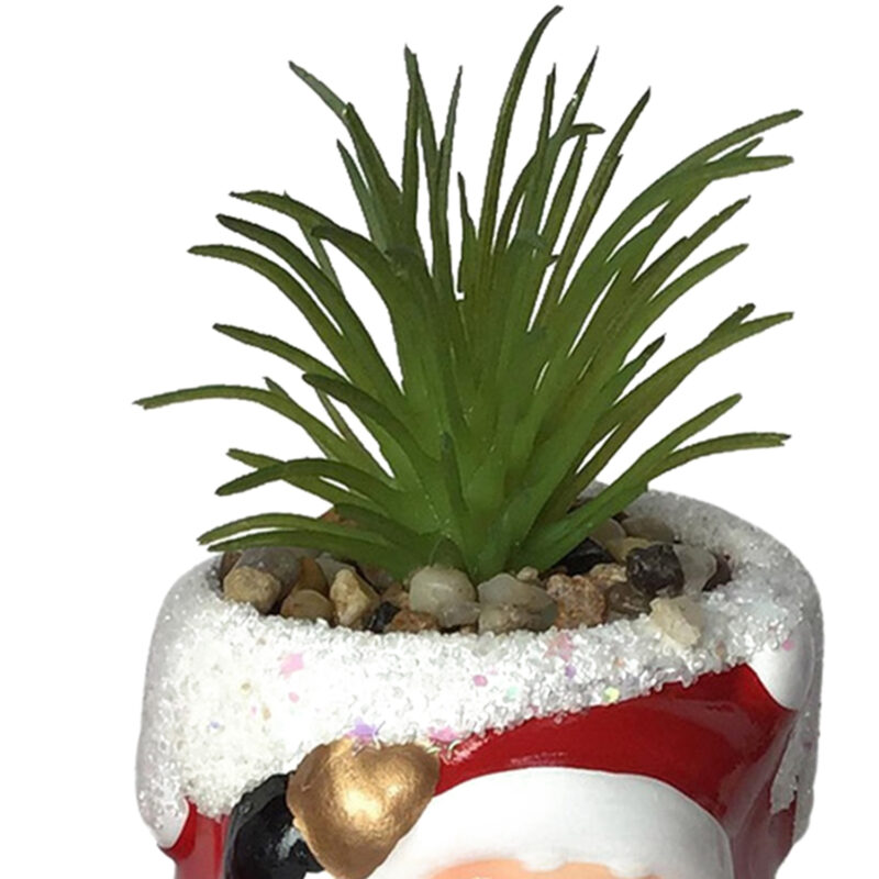 Suculenta Verde Figura Pascuero - Imagen 2