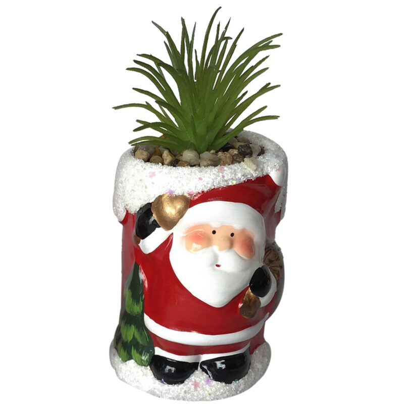 Suculenta Verde Figura Pascuero