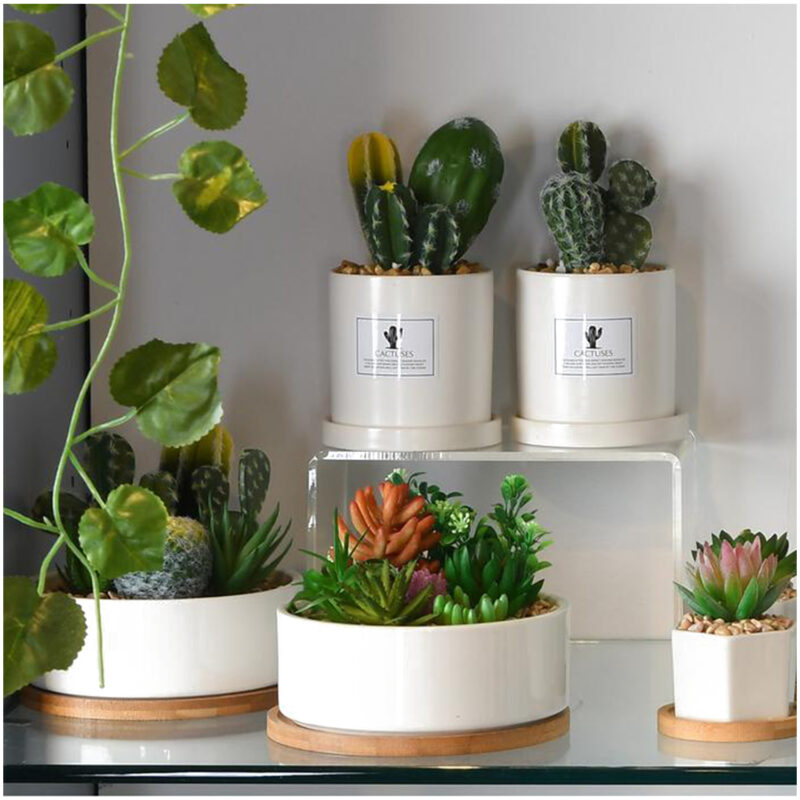 Planta Decorativa Suculentas Multicolor Maceta Blanca - Imagen 4