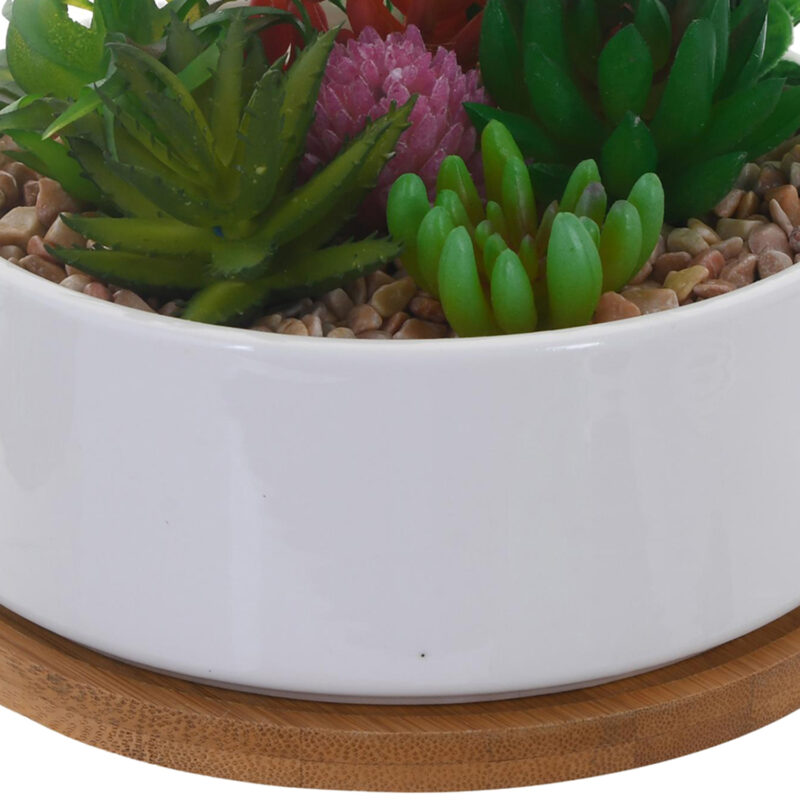 Planta Decorativa Suculentas Multicolor Maceta Blanca - Imagen 2