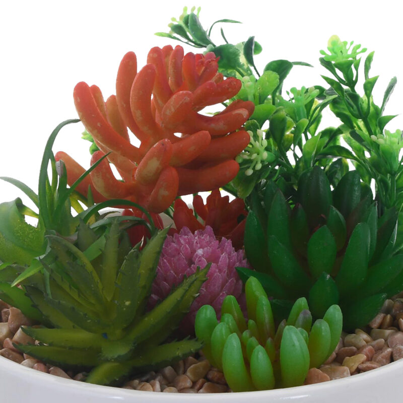 Planta Decorativa Suculentas Multicolor Maceta Blanca - Imagen 3