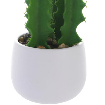 Planta Decorativa Cactus Suculenta Maceta Blanca
