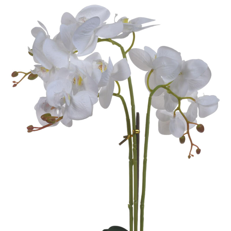 Planta Artificial Orquidea Plus 52 Cms Maceta Blanca - Imagen 3