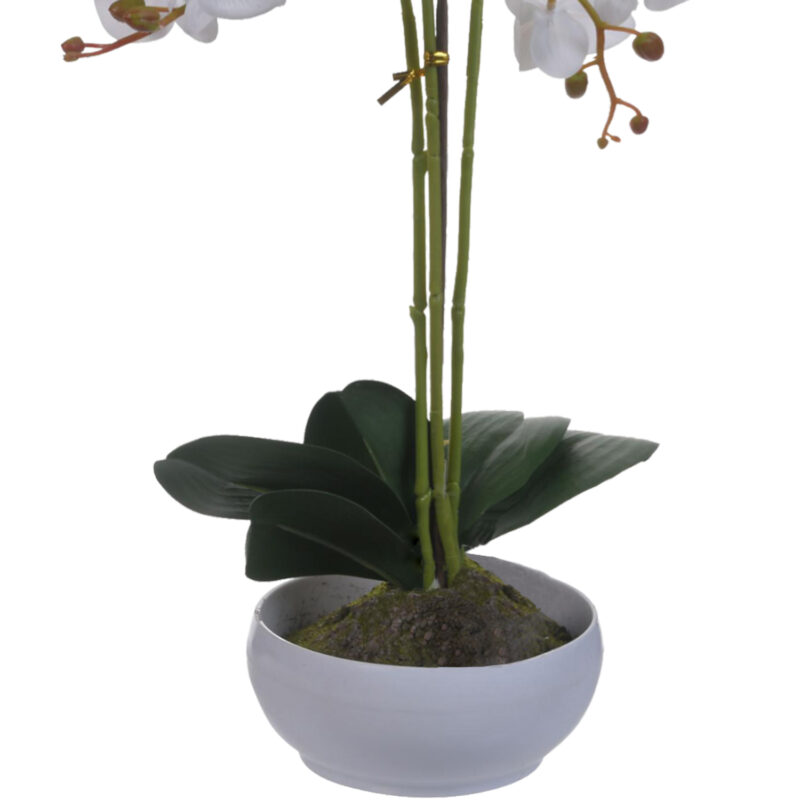 Planta Artificial Orquidea Plus 52 Cms Maceta Blanca - Imagen 2