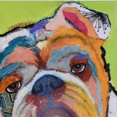 Cuadro Decorativo Bulldog 40 x 40