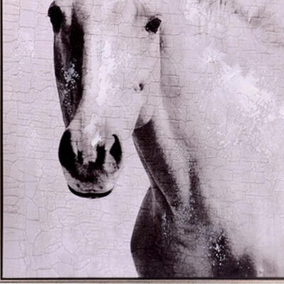 Cuadro Decorativo Pegasus 83 x 83