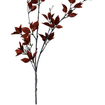 Rama Decorativa de Eucalipto Rojo 120 cm