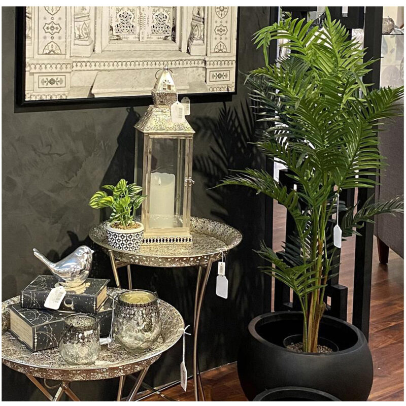 Planta Decorativa Palma Areca 120 Cms. - Imagen 3