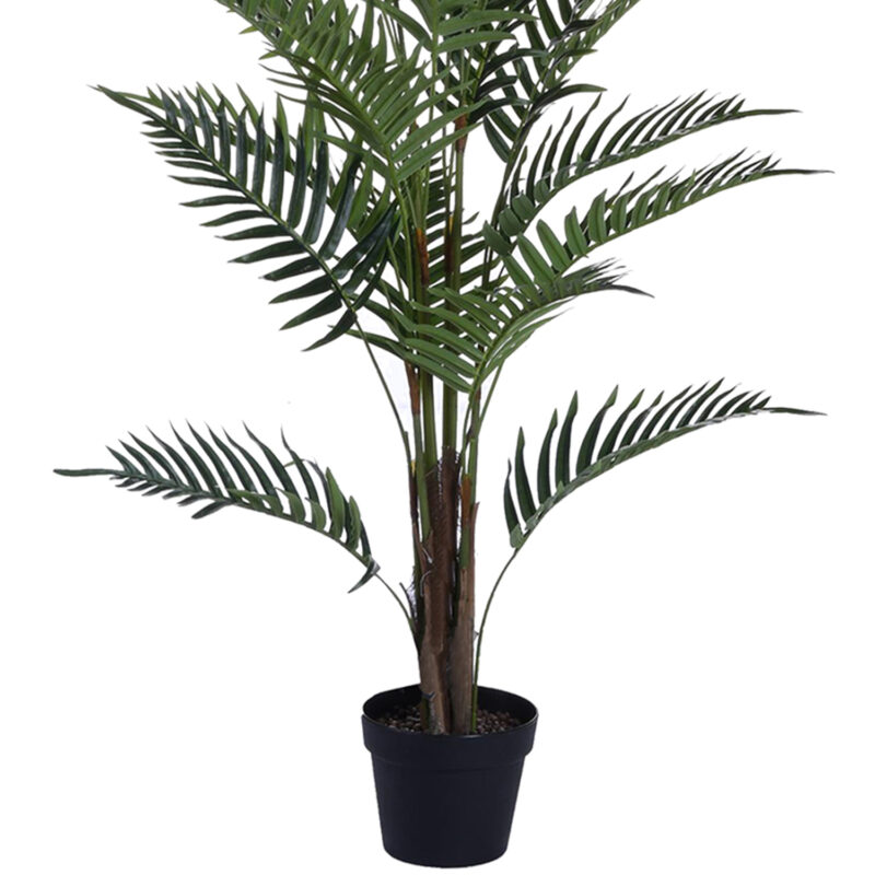 Planta Decorativa Palma Areca 120 Cms. - Imagen 2