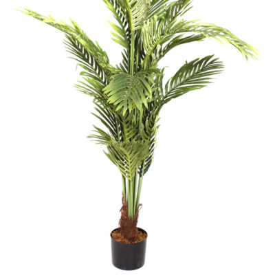 Planta Decorativa Palma Areca 170 Cms.