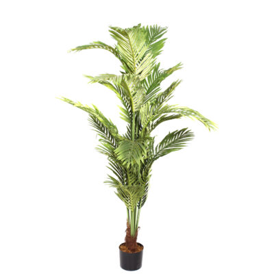 Planta Decorativa Palma Areca 170 Cms.
