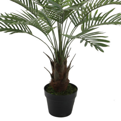 Planta Decorativa Palma Phoenix 90 cm
