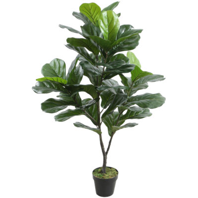 Planta Decorativa Ficus Lyrata 120 Cms.