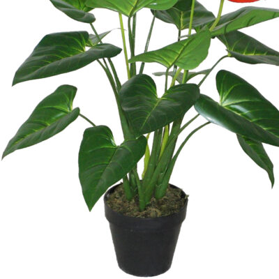 Planta Decorativa Anthurium 80 cm