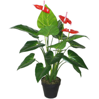 Planta Decorativa Anthurium 80 cm