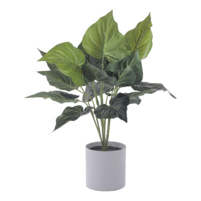 Planta Decorativa Artificial Alocasia Cucullata 40 cms