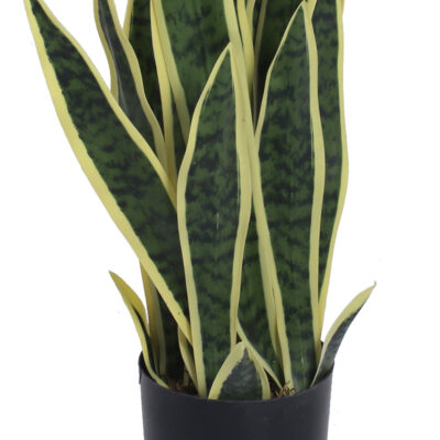 Planta Artificial Snake Plant Gold 60 Cm