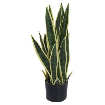 Planta Artificial Snake Plant Gold 60 Cm